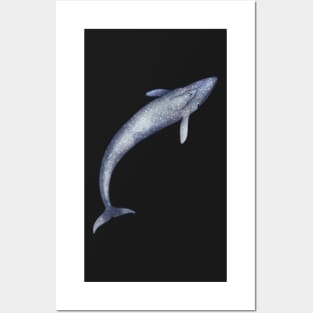 Cozy Blue Whale Posters and Art